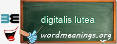 WordMeaning blackboard for digitalis lutea